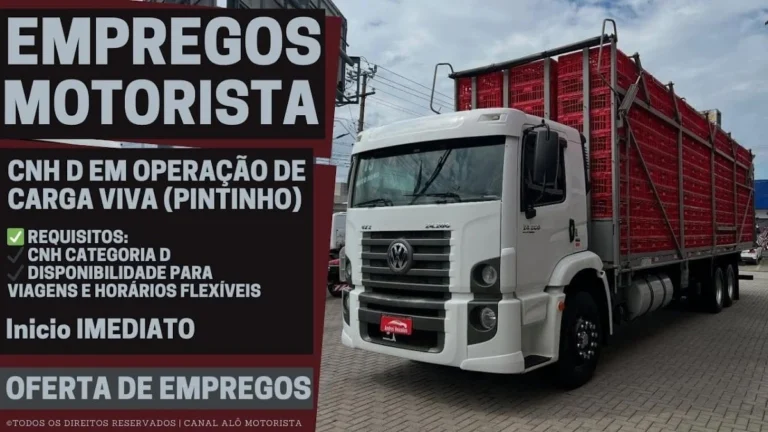 Comelli Transportes Abre Vaga para Motorista CNH D em Rio Verde e Itumbiara para Transporte de Carga Viva de Pintinhos com Benefícios Atrativos