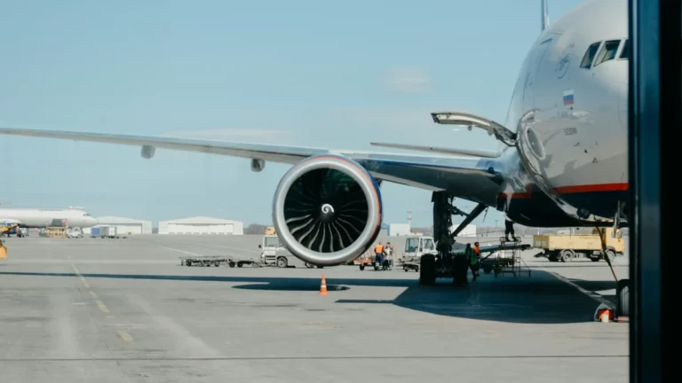 Perigo Alado nos Céus: Por Que Pássaros Representam Uma Ameaça Milionária e Constante para a Aviação Global