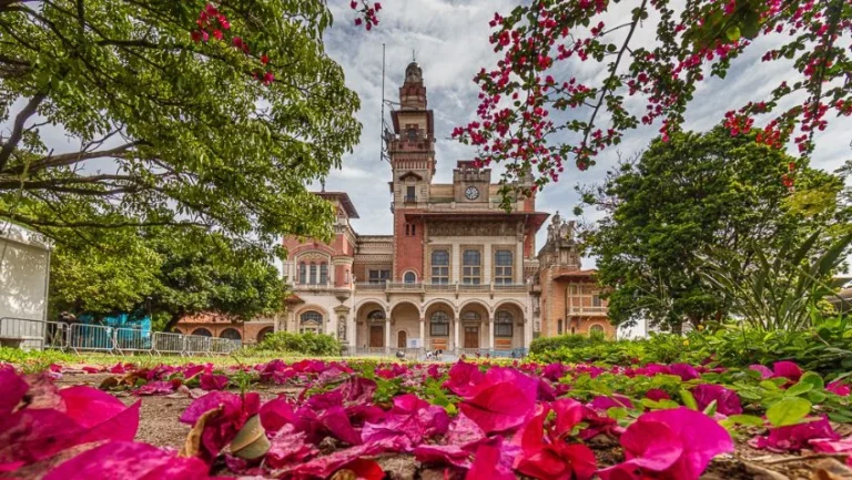 Dias de Chuva em Família: Os Melhores Museus Interativos em SP e RJ para Levar Crianças