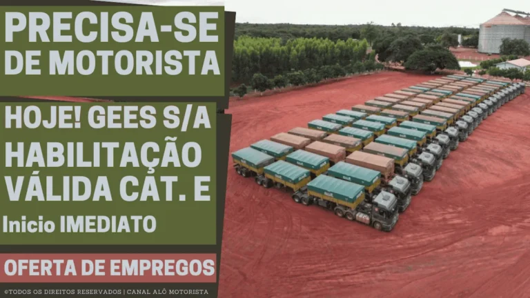 GEES S/A Anuncia Vaga Urgente para Motorista Profissional em Balsas (MA): Início Imediato e Benefícios Atraentes para CNH D/E e MOPP