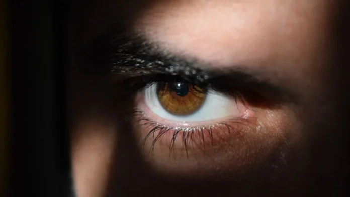 Stalkerware: O Perigo Oculto dos Aplicativos Espiões e Por Que Eles Colocam Sua Segurança Digital em Risco de Extorsão