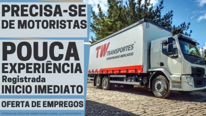 TW Transportes: Vaga para Motorista de Frota Leve em Itajaí (SC) Exige CNH C e Apenas 3 Meses de Experiência