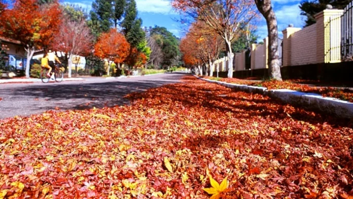 Outono 2026: Desvende Como a Inclinação da Terra em 23 Graus Define as Estações do Ano e o Equinócio