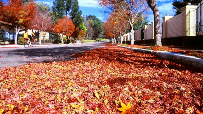 Outono 2026: Desvende Como a Inclinação da Terra em 23 Graus Define as Estações do Ano e o Equinócio