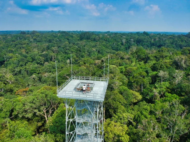 Turismo do Amazonas Dispara em Janeiro de 2026, Superando Média Nacional e Destacando-se no Top 3 do Brasil