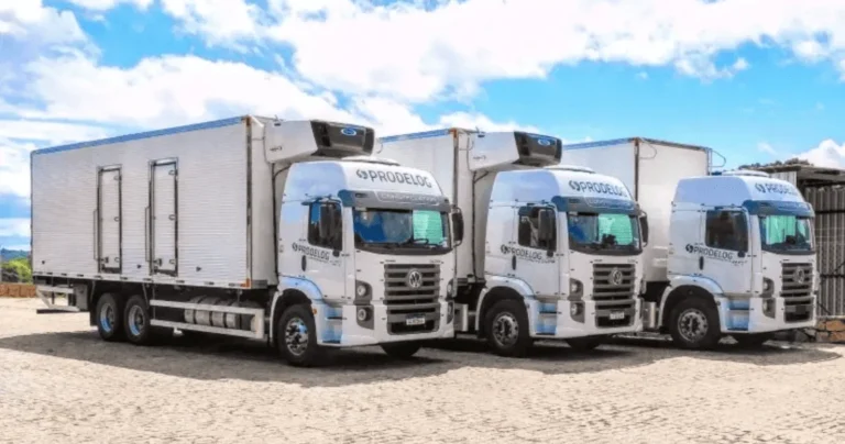 Contratação Imediata: Prodelog Abre Vaga para Motorista Truck CNH D em Betim (MG) com Viagens e Distribuição de Mercadorias