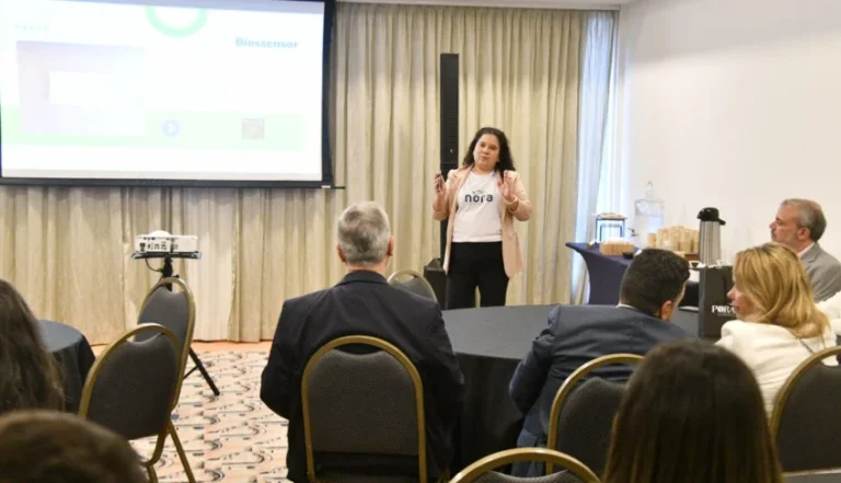 Programa Catalisa ICT do Sebrae Conecta Startups Inovadoras com Investidores para Impulsionar o Desenvolvimento Tecnológico Brasileiro