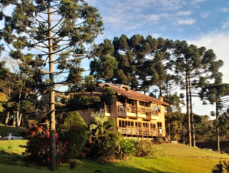 Rotas do Pinhão: Grande Curitiba Unifica Turismo com Plataforma Digital Inovadora