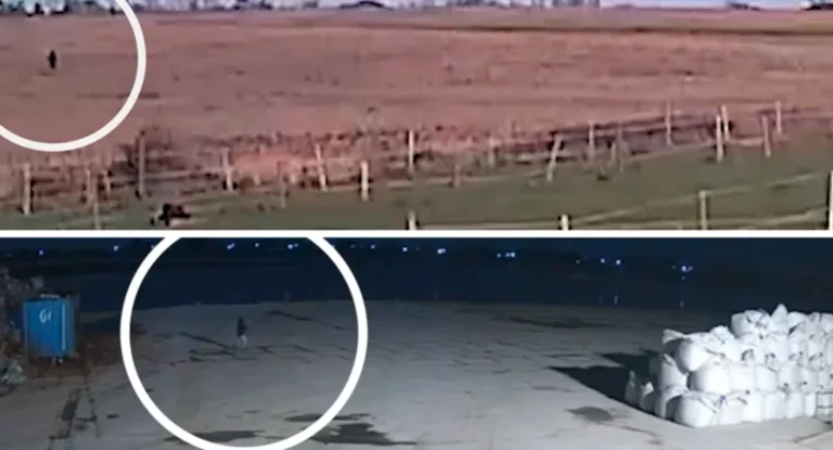 Novas imagens de brasileira desaparecida na Inglaterra reforçam teoria de barco em Brightlingsea