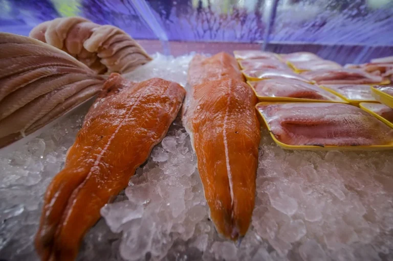 Páscoa: A Engenharia da Torta Pasqualina com 33 Camadas e o Legado Rústico do Cordeiro