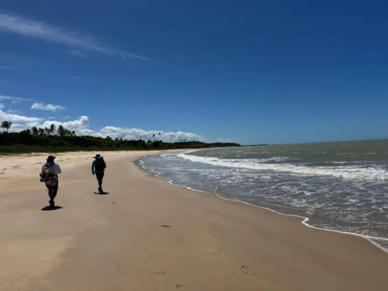 Rota do Descobrimento: Trekking guiado revela paisagens históricas e imersivas no Sul da Bahia