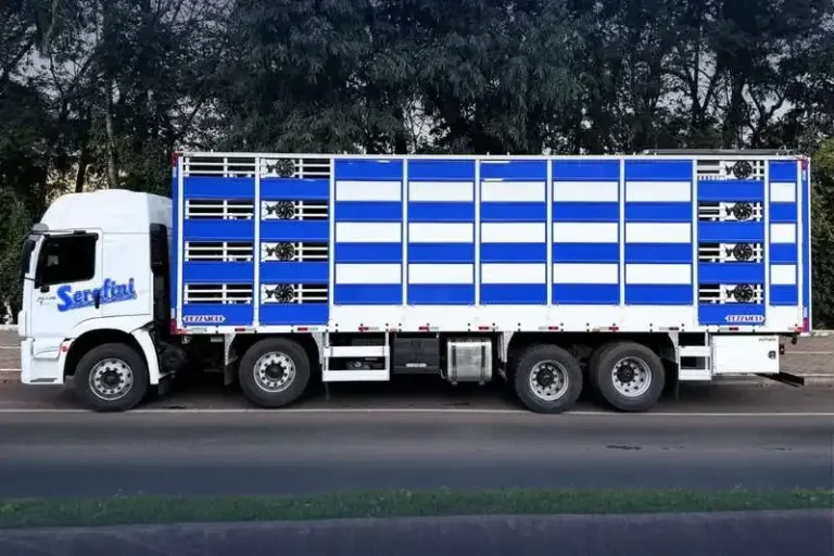 Serafini Transportes Anuncia Vagas Urgentes para Motoristas de Caminhão Truck em SC: Oportunidades para Residentes de Campos Novos, São José do Oeste e Itapiranga