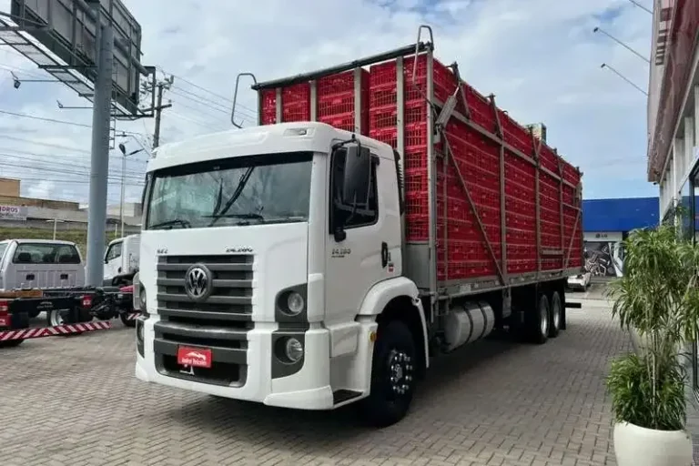 Comelli Transportes Abre Novas Vagas para Motoristas de Carga Viva em Jataí (GO): Oportunidade para Transporte de Pintinhos