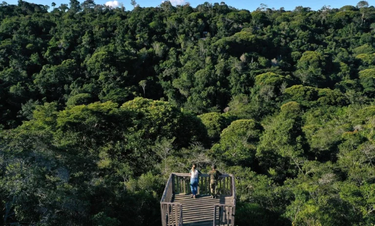 Porto Seguro Celebra 526 Anos do Brasil com Turismo Sustentável e Lançamento de Experiência no Parque Nacional do Pau Brasil