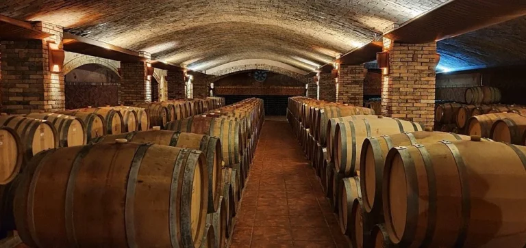 Descubra os Vinhos de Altitude: Roteiro Completo Pelas Vinícolas de São Joaquim e Urubici na Serra Catarinense