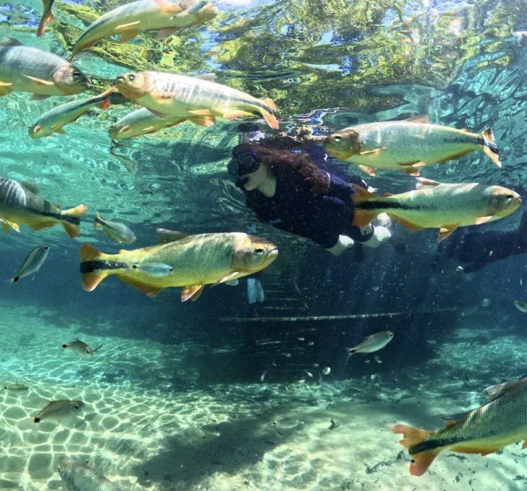 Recanto Ecológico Rio da Prata é eleito o Melhor Atrativo Turístico do Brasil em 2026 em premiação nacional