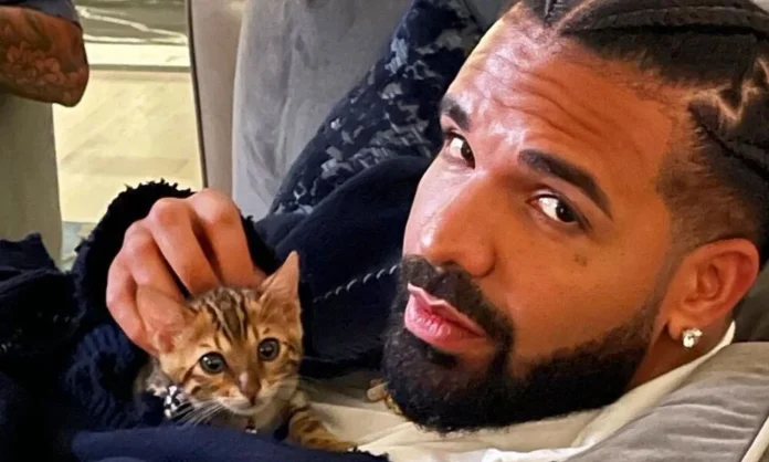 Drake Choca o Mundo: Lança Três Álbuns Surpresa com 43 Músicas em Uma Noite e Detona Rivais
