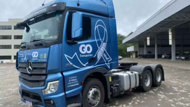 Oportunidade em Vitória: GO Transportes Abre Vagas para Motoristas Carreteiros com Salário Competitivo e Benefícios
