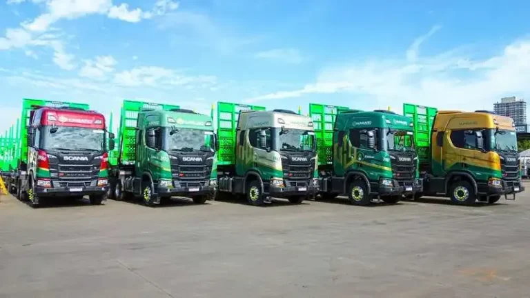 Hungaro Transportes Abre Vagas para Motoristas de Tritrem e Comboio em Três Lagoas com Foco em Operação Florestal