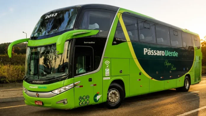 Pássaro Verde Abre Vagas de Motorista Rodoviário em Minas Gerais: Salário Competitivo e Benefícios Completos para Profissionais Qualificados