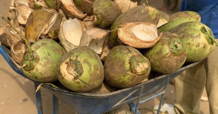 Chá de Entre casca de Coco: Benefícios Comprovados pela Ciência ou Mito Popular?