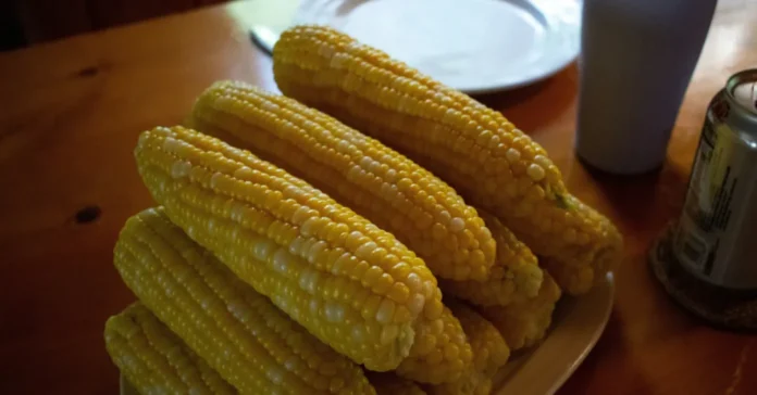 Milho Cozido: Descubra os Benefícios Nutricionais e Como Incluir Esse Alimento na Sua Dieta