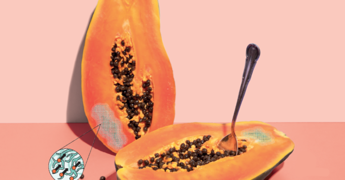 Mofo na Comida: Como Surge e os Riscos Ocultos de Ingerir Alimentos Contaminados