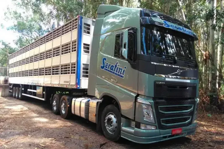 Serafini Transportes Abre Vagas para Motoristas CNH C e E em Santa Catarina e Paraná