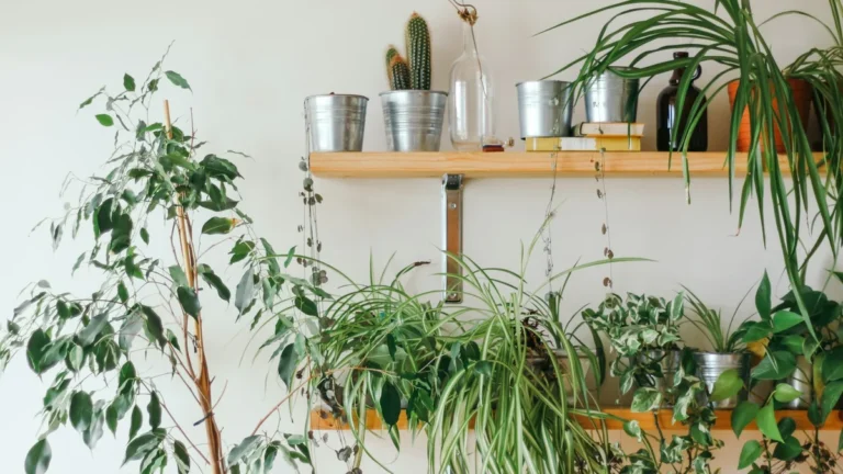 Como o Google Gemini Transforma o Cuidado com Suas Plantas de Casa: Dicas Essenciais para um Jardim Urbano Vibrante
