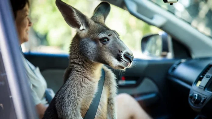 Multas Mais Estranhas do Mundo: Comer Lanche ao Volante, Pneus Levemente Gastos e Pets Soltos Podem Gerar Penalidades Absurdas no Exterior; Você Seria Multado?