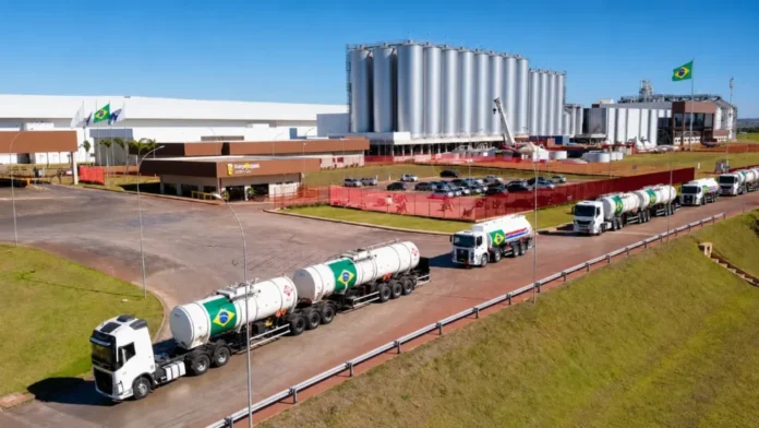 Grupo Rio Branco Abre Vagas para Motoristas CNH D/E em Minas Gerais: Oportunidades em Paracatu e Uberaba