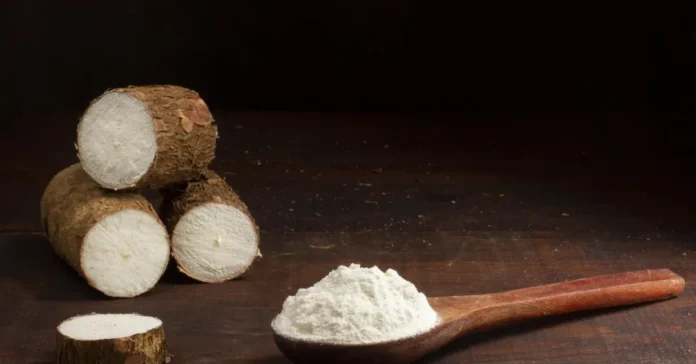 Farinha de Mandioca Faz Mal? Descubra os Benefícios Surpreendentes e Por Que Ela é Aliada da Sua Saúde