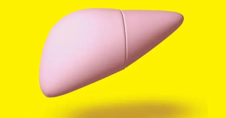 O Que Comer e Evitar Para Um Fígado Saudável: Guia Completo Baseado em Grande Estudo