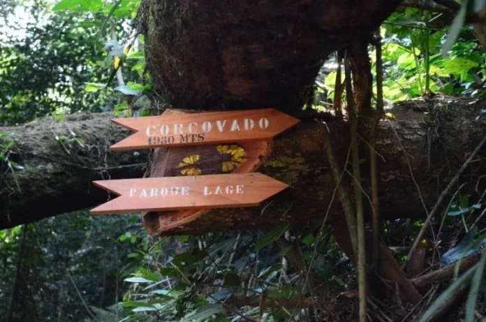 Alerta no Rio: ICMBio fecha todas as trilhas do Parque Nacional da Tijuca por ventos fortes; veja quais áreas estão interditadas