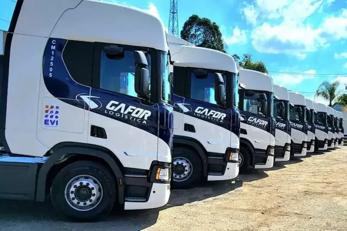 GAFOR Logística abre vagas para motoristas com CNH D e E em SP e SC: confira os requisitos e como se candidatar