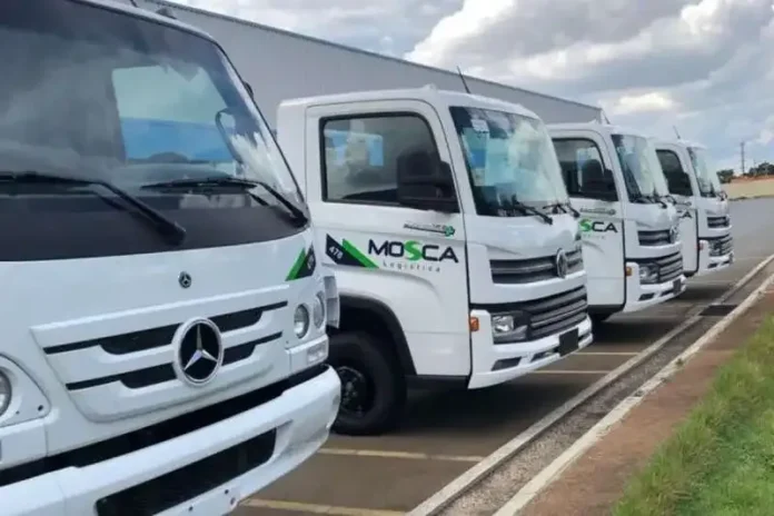 Vagas para Motoristas CNH D em Campinas e Santos: Mosca Logística Contrata para Abastecimento Supermercadista