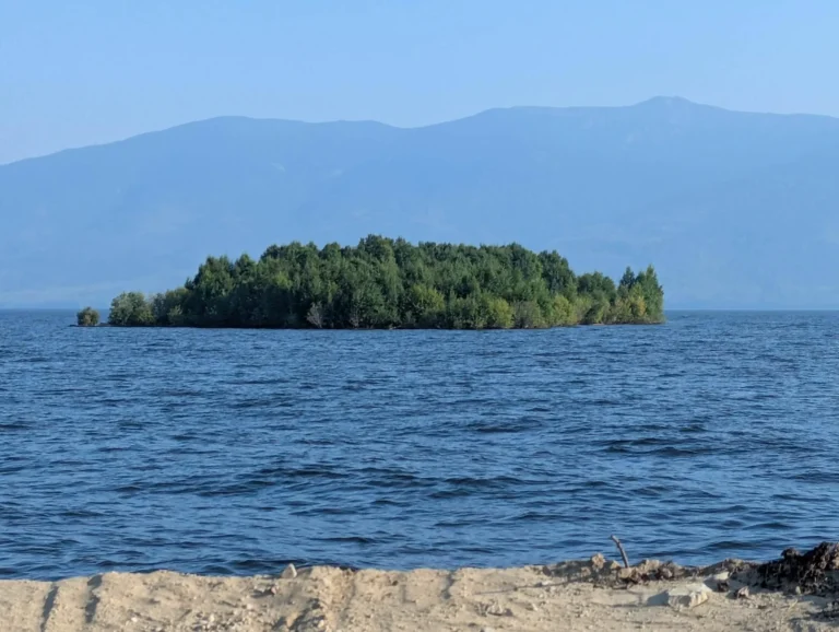 Ilha Misteriosa de Árvores Desaparece e Reaparece em Lago no Canadá: O Que Dizem os Especialistas?
