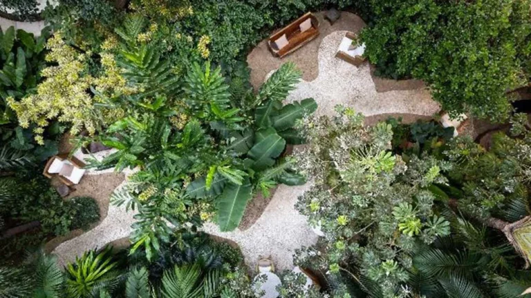 Sanagê Transforma Clip na Arte Monumental “Neoclipes” nos Jardins do Rosewood São Paulo