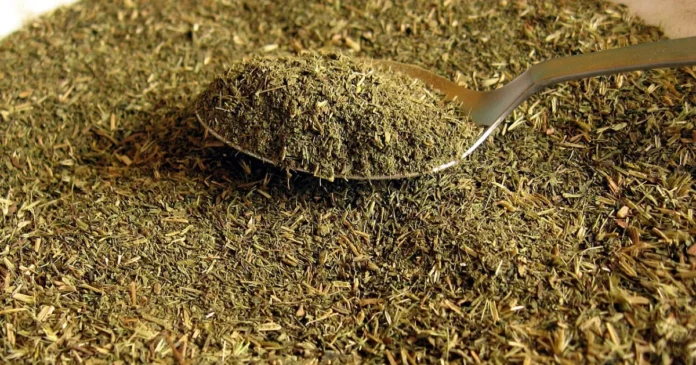 Adoçantes como Sucralose e Stevia Podem Afetar o Metabolismo por Gerações? Estudo em Ratos Aponta Possíveis Alterações, Mas Cientistas Alertam para Limitações