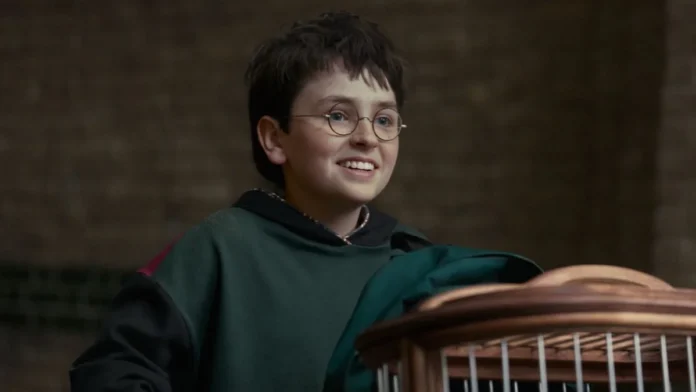 Crise nos Bastidores da Série Harry Potter da HBO: Roteiro da 2ª Temporada Causa Atrasos e Tensão