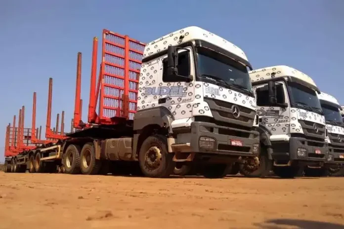 Budel Transportes Abre Vagas para Motoristas Carreteiros CNH E com Foco em Operação Florestal no Interior de SP